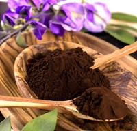 Натуральный или алкализованный какао-порошок